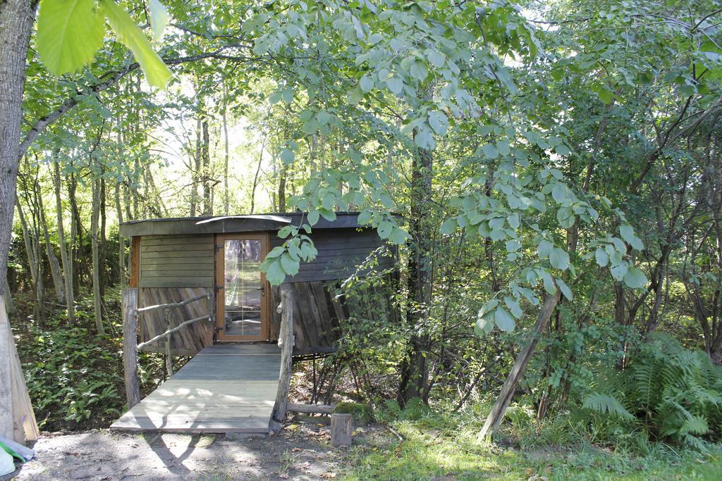 Round House Daire Sigulda Oda fotoğraf
